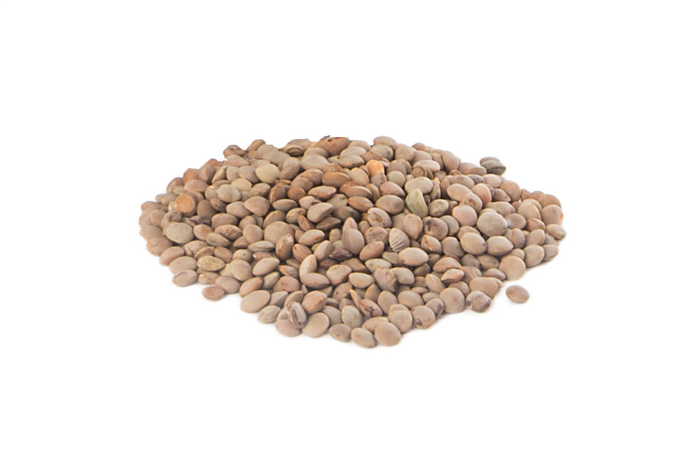 Lenticchia di Ustica